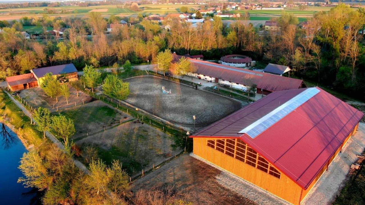 Apartment Country House Zaton Tisina Dış mekan fotoğraf