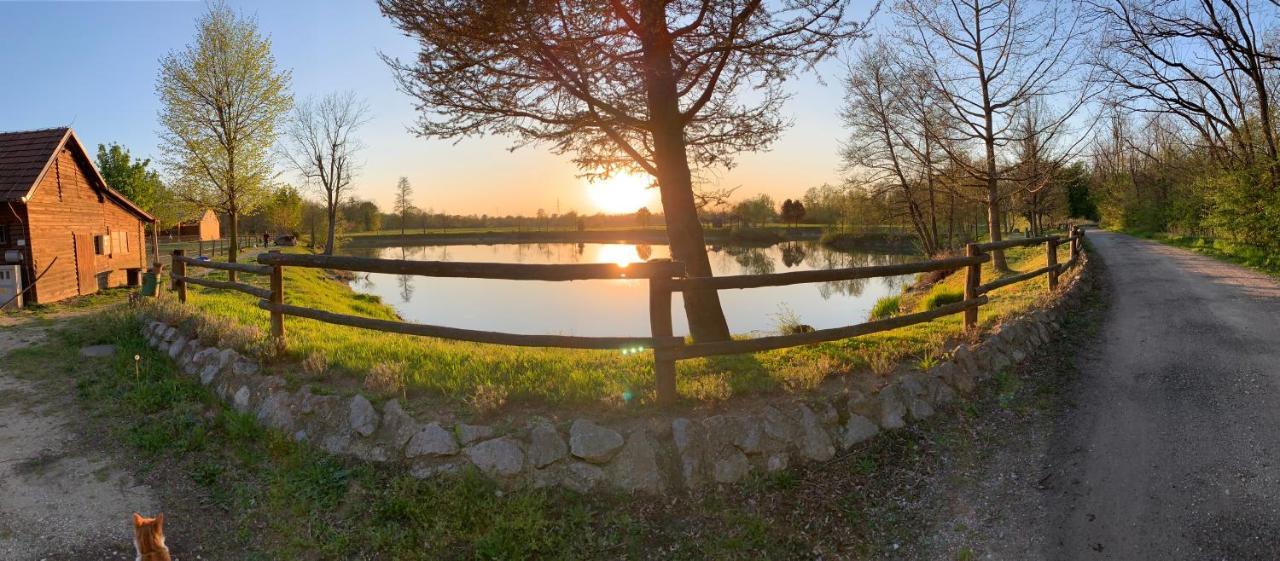 Apartment Country House Zaton Tisina Dış mekan fotoğraf