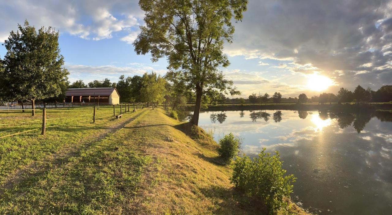Apartment Country House Zaton Tisina Dış mekan fotoğraf