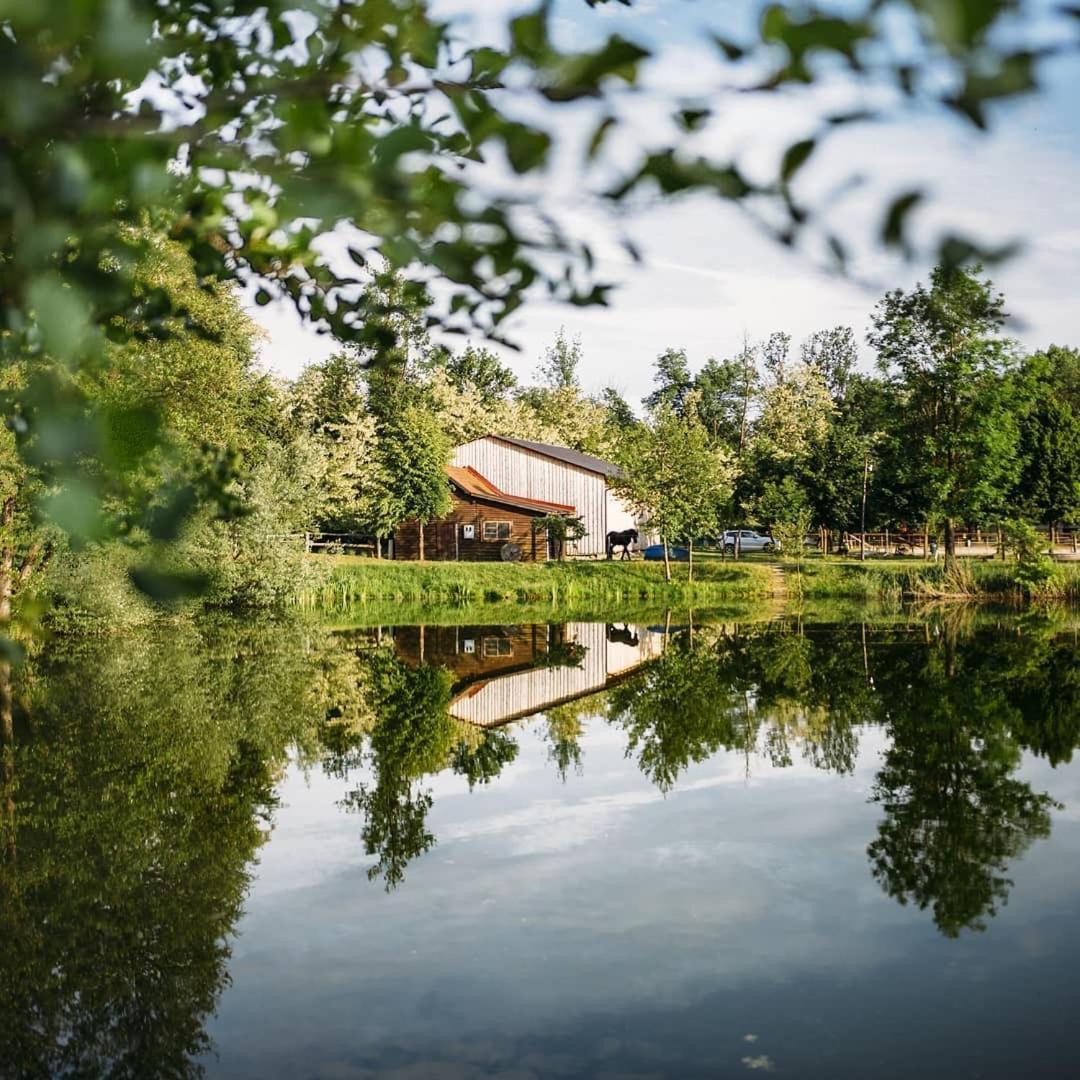 Apartment Country House Zaton Tisina Dış mekan fotoğraf