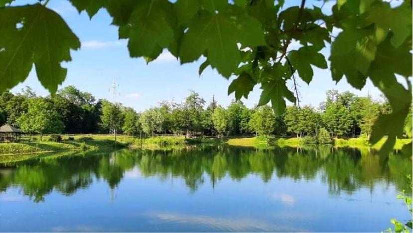 Apartment Country House Zaton Tisina Dış mekan fotoğraf